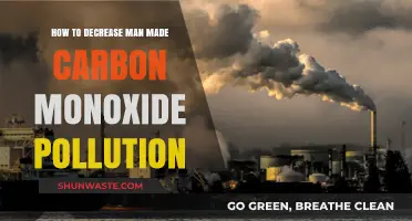 Reducing Carbon Monoxide Pollution: Strategies to Minimize Human Impact
