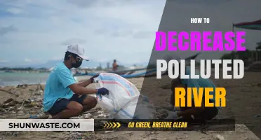 Purifying Polluted Rivers: Strategies for a Greener Future