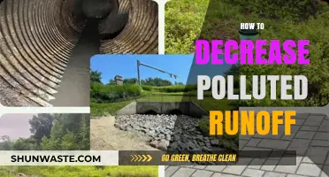 Reducing Polluted Runoff: Strategies to Minimize Waterway Contamination
