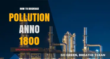 Strategies to Reduce Pollution in the 19th Century
