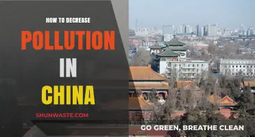 Strategies to Reduce Pollution in China