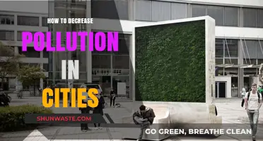 Reducing Urban Pollution: Strategies for Cleaner Cities