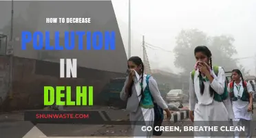 Delhi's Pollution: Strategies for a Sustainable Future