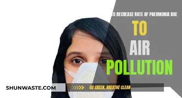 Preventing Pneumonia: Reducing Air Pollution's Deadly Impact