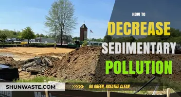 Sedimentary Pollution: Strategies for Reducing Environmental Impact