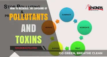 Protecting Your Health: Reducing Exposure to Pollutants and Toxins