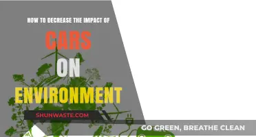 Eco-Friendly Driving: Reducing Cars' Environmental Impact with Simple Strategies