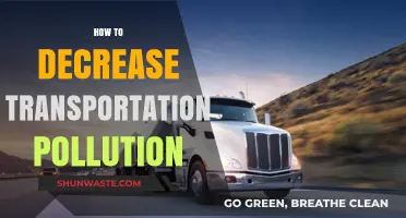 Reducing Transportation Pollution: Strategies for a Greener Future