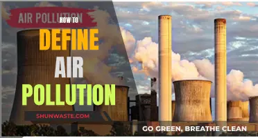 Understanding Air Pollution: What's in the Air?
