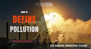 Understanding Pollution: A Comprehensive Definition