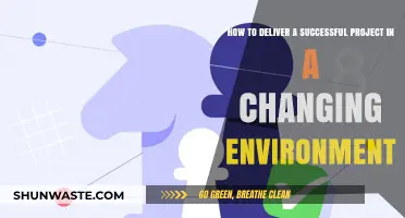 Navigating Change: Strategies for Delivering Successful Projects in Dynamic Environments