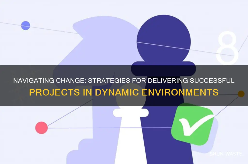 how to deliver a successful project in a changing environment
