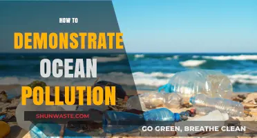 Visualizing Ocean Pollution: A Practical Guide