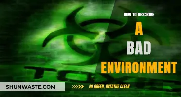 Recognizing Toxic Surroundings: Signs of a Harmful Environment and Its Impact