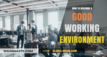 Creating a Productive Workplace: Key Elements of a Good Working Environment