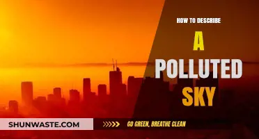 Grimy Skies: A Descriptive Guide to Polluted Heavens