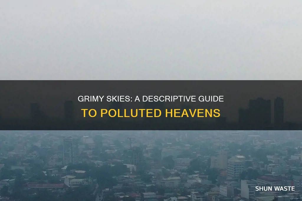 how to describe a polluted sky