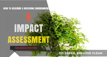 Crafting a Clear Description of Receiving Environments for Impact Assessments
