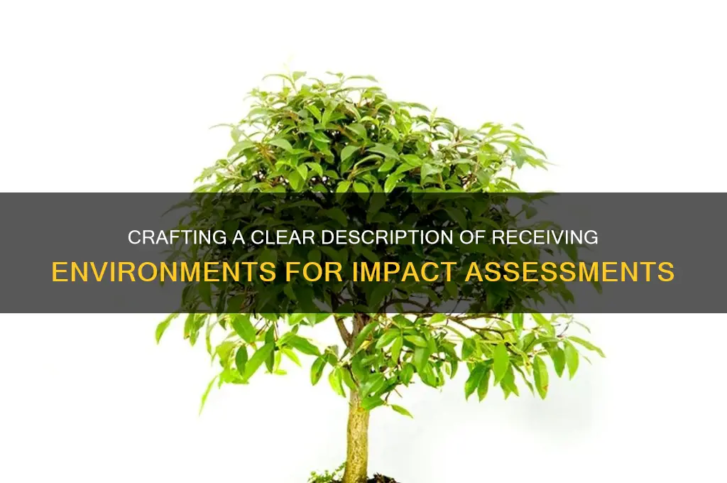 how to describe a receiving environment for a impact assessment