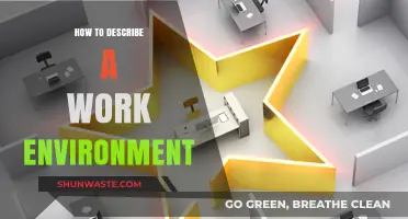 Crafting the Perfect Work Environment Description: Tips and Insights