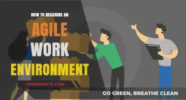 Fostering Collaboration: Key Traits of an Agile Work Environment Explained