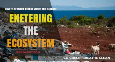 Excess Waste Crisis: How Garbage Overwhelms and Destroys Ecosystems