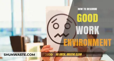 Creating a Positive Workplace: Key Traits of a Good Work Environment
