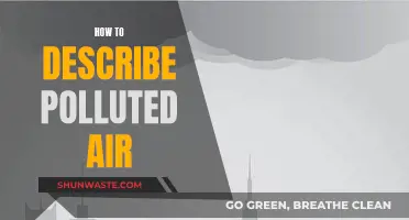 Air Pollution: A Toxic Air Quality Crisis