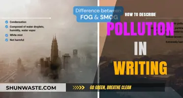 The Smog's Story: Writing Pollution's Impact