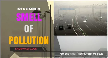 The Stench of Pollution: A Descriptive Guide