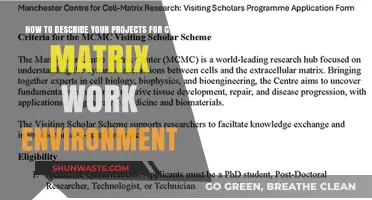 Crafting Impactful Project Descriptions for CVs in Matrix Work Environments