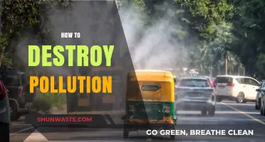 Eradicating Pollution: Strategies for a Greener Tomorrow