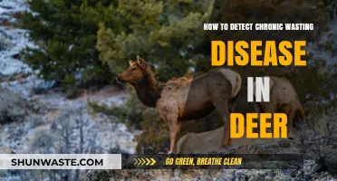 Detecting Chronic Wasting Disease in Deer: Essential Tips and Techniques