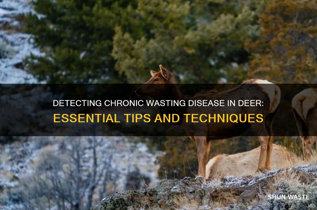 how to detect chronic wasting disease in deer