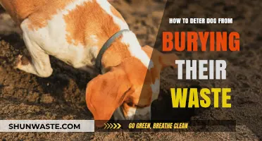 Stop Your Dog from Burying Poop: Effective Deterrence Tips