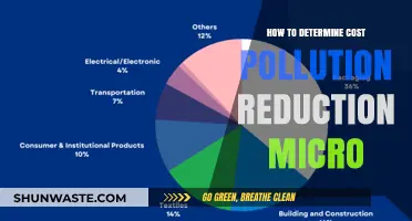 Micro-level Pollution Reduction: Cost-Effective Strategies