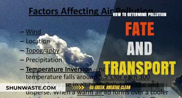 Understanding Pollution: Fate and Transport