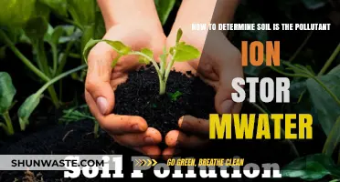 Soil Pollution: Impact on Stormwater and Testing Methods