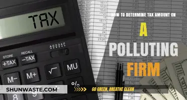Calculating Tax for Polluting Firms: A Guide