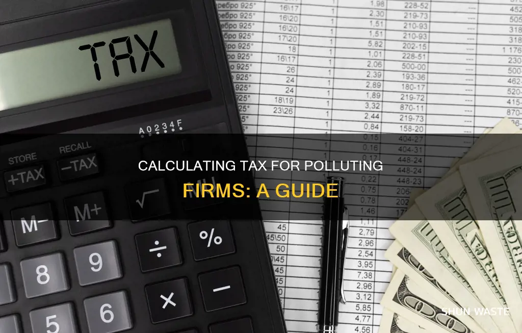 how to determine tax amount on a polluting firm