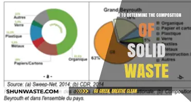 Analyzing Solid Waste: Methods to Determine Its Composition Effectively