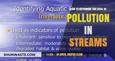 Stream Pollution: Monitoring and Assessing Water Quality