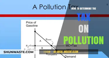 Governments Should Tax Pollution, Here's How
