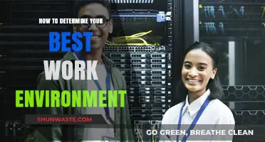 Discover Your Ideal Work Environment: Tips for Maximizing Productivity and Satisfaction
