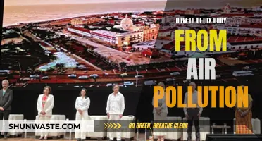 Detoxing Your Body from Air Pollution: Natural Ways