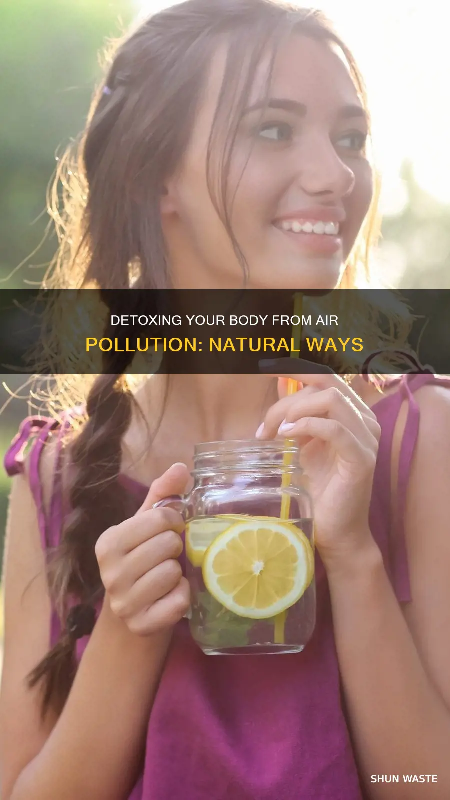 how to detox body from air pollution