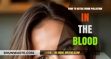 Detoxing Blood Pollution: Natural Ways to Cleanse Your Body