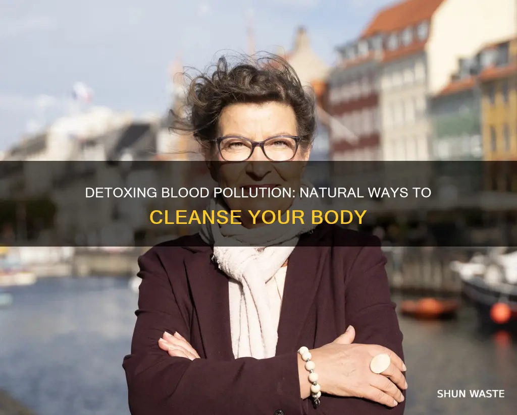 how to detox from pollution in the blood
