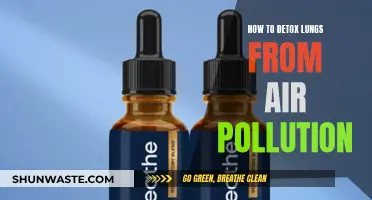 Protect Your Lungs: Detox from Air Pollution