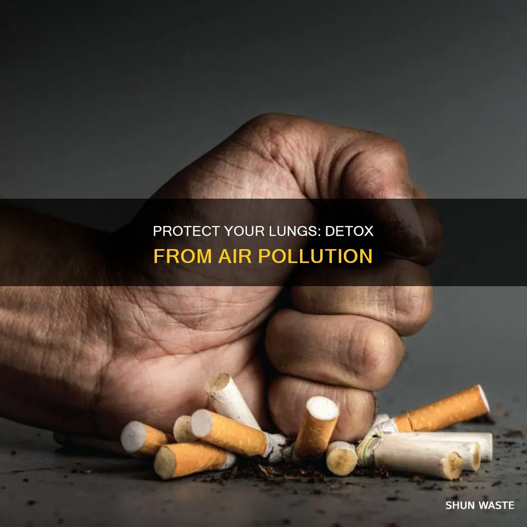 how to detox lungs from air pollution